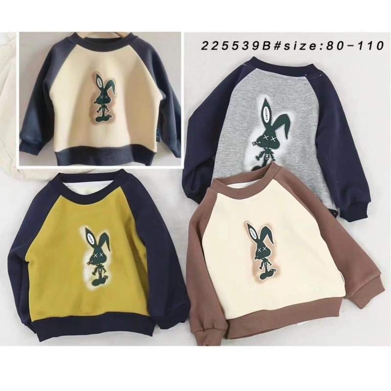 ÁO NỈ LÓT NHUNG HÀNG QC SIÊU SỊN CHO BÉ