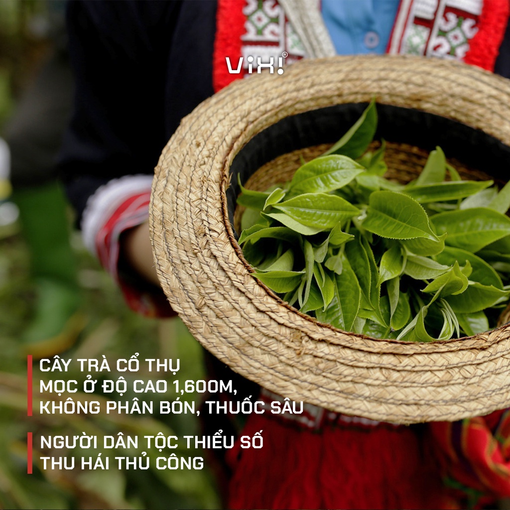 Trà nhài túi lọc ViXi từ trà Shan tuyết cổ thụ ướp hoa nhài vị thanh ngọt hậu hộp 50 gr