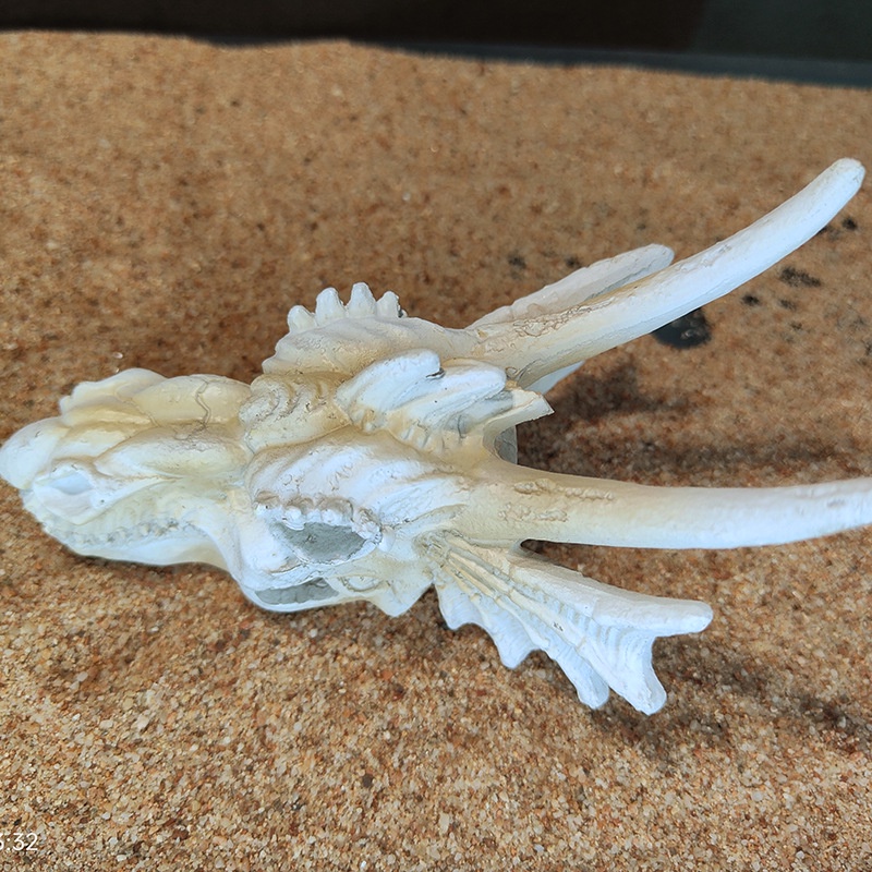 Mô HìNh ĐầU Lâu KhủNg Long Trang Trí Bể Cá