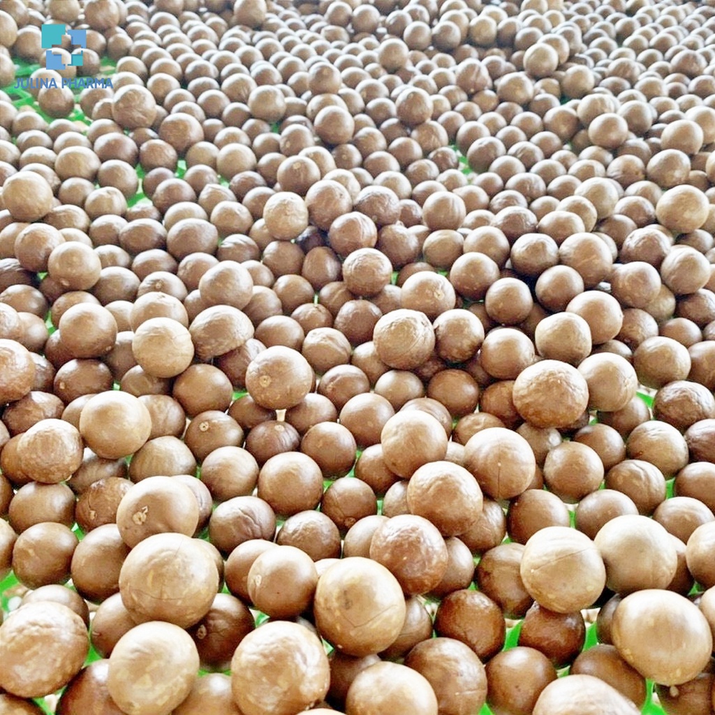 Hạt Macca sạch Lâm Đồng túi zip chân không - mắc ca sấy nứt vỏ 500g