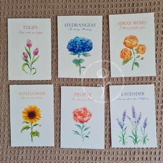 Thiệp Hoa Màu Nước (Watercolor Flower) - Bộ 6 màu
