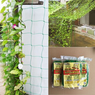 Lưới trồng cây dây leo, lưới làm giàn cho bầu, bí, mướp, cây thân leo