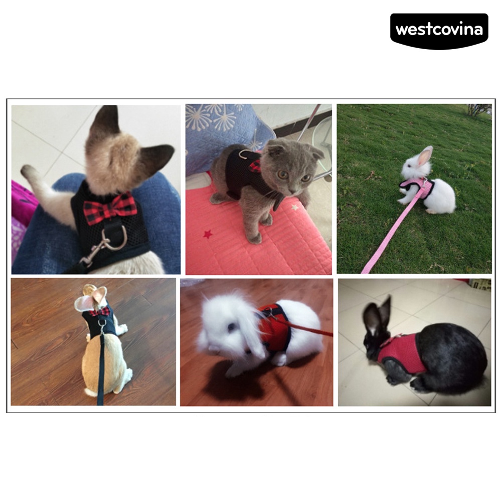 [COD]♘Áo Sát Nách Phối Lưới Mềm Đính Nơ Xinh Xắn Cho Thỏ / Chuột Hamster