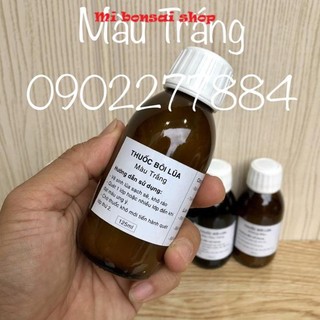 Sơn Gỗ Lũa, Thuốc Lũa Bonsai Cây Cảnh 6 Màu thông dụng