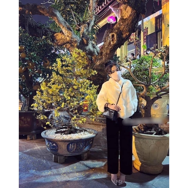 Quần suông nhung ống rộng cạp chun
