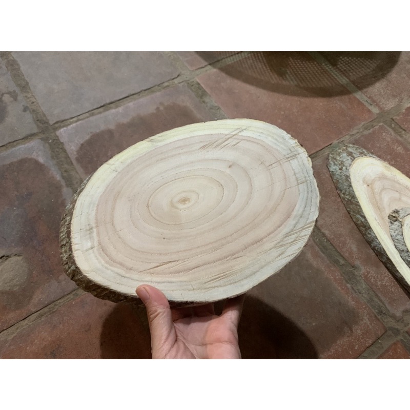 Lát gỗ decor trang trí size 16-30cm