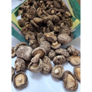 Nấm đông cô mini