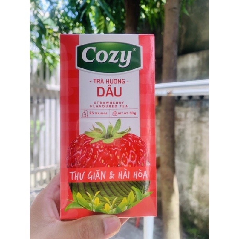Trà Dâu Cozy (túi lọc)