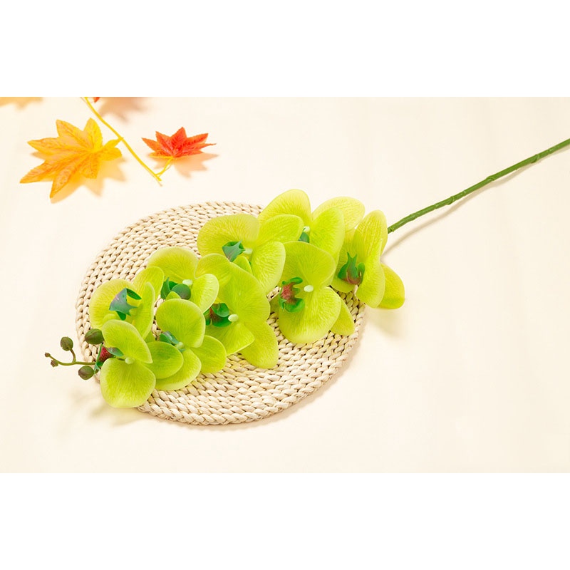 Hoa giả hoa lan hồ điệp giả chất liệu cao su cành 9 bông hoa trang trí tết phòng khách siêu đẹp Erica