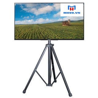 Giá treo tivi di động