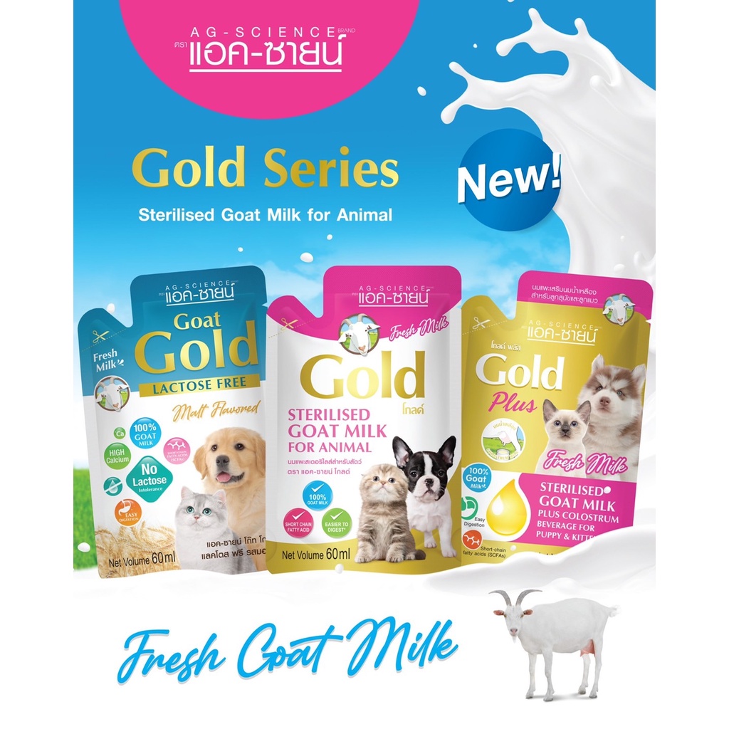 Sữa Gold AG Cao Cấp Pha Sẵn 60ml  FREE SHIP  Sữa Cho Chó Mèo Thỏ Bọ Hamster Nâng Cấp