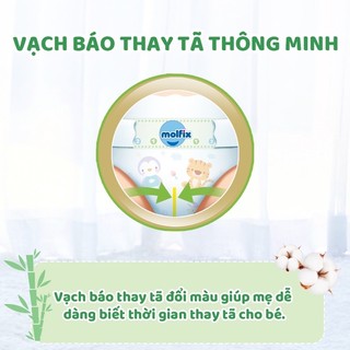 Bỉm Molfix tã dán/Quần đủ size cộng miếng