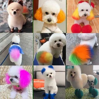 Thuốc nhuộm lông chó mèo đa năng tiện dụng