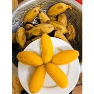 Cây giống chuối sáp nghệ cấy mô siêu sớm