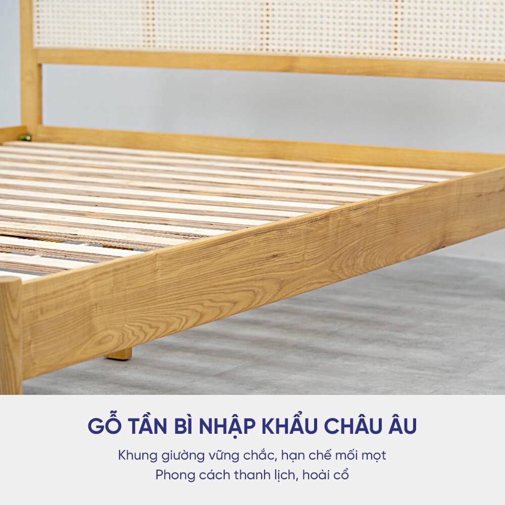 Giường gỗ Tần Bì Amando Hestia nhập khẩu châu Âu, chất lượng bền bỉ, hỗ trợ lắp đặt Hà Nội, Hồ Chí Minh