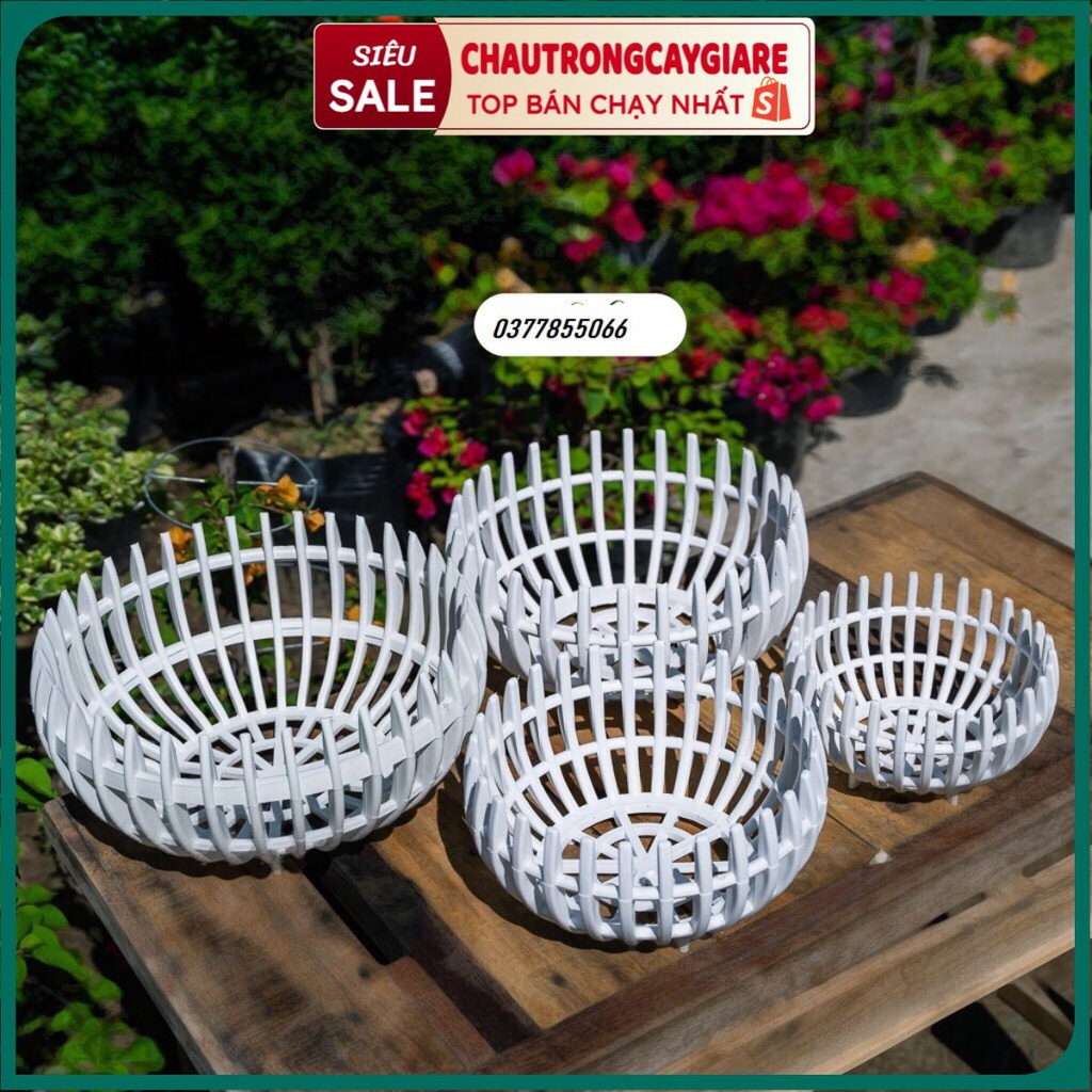 Chậu Trồng Lan dáng quả bí, Chậu nhựa trồng hoa dày dặn cứng cáp chịu nhiệt, Chậu trồng hoa nhiều kích cỡ, hàng loại 1