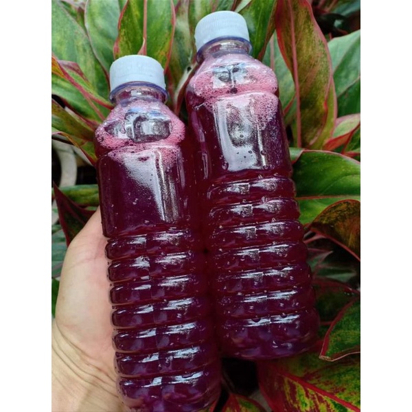 Combo 2 Chai Siro Atiso Đỏ