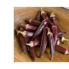 2gr hạt giống đậu bắp đỏ chịu nhiệt burgundy