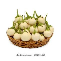 0.5gr hạt giống cà pháo cao sản