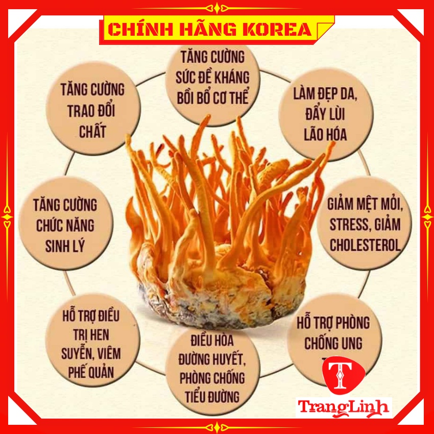 Cao đông trùng hạ thảo hàn quốc Jeong Won chính hãng, set 2 hộp - Tăng thể lực, ổn định huyết áp, phòng ung thư