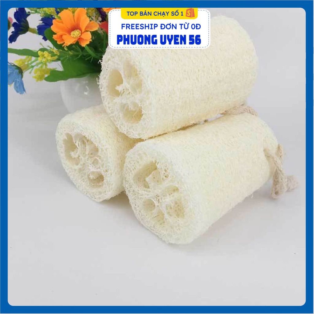 Miếng Rửa Bát Ruột Bầu - Xơ Mướp Siêu Tạo Bọt T10 CDS1594