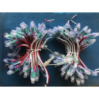 Led 1903 làm ph hoa ngoài trời bó 50 bóng