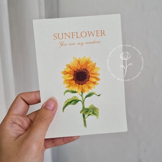 Thiệp Hoa Màu Nước (Watercolor Flower) - Bộ 6 màu