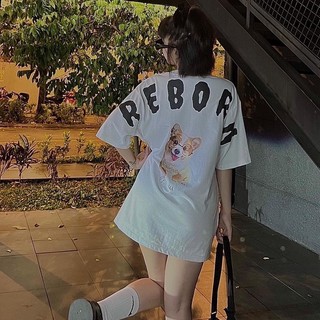 ÁO THUN REBORN CORGI CHẤT COTTON 100%