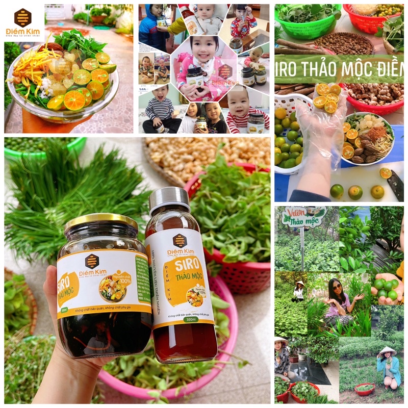 Siro Ho Thảo Mộc Dân Gian Điềm Kim