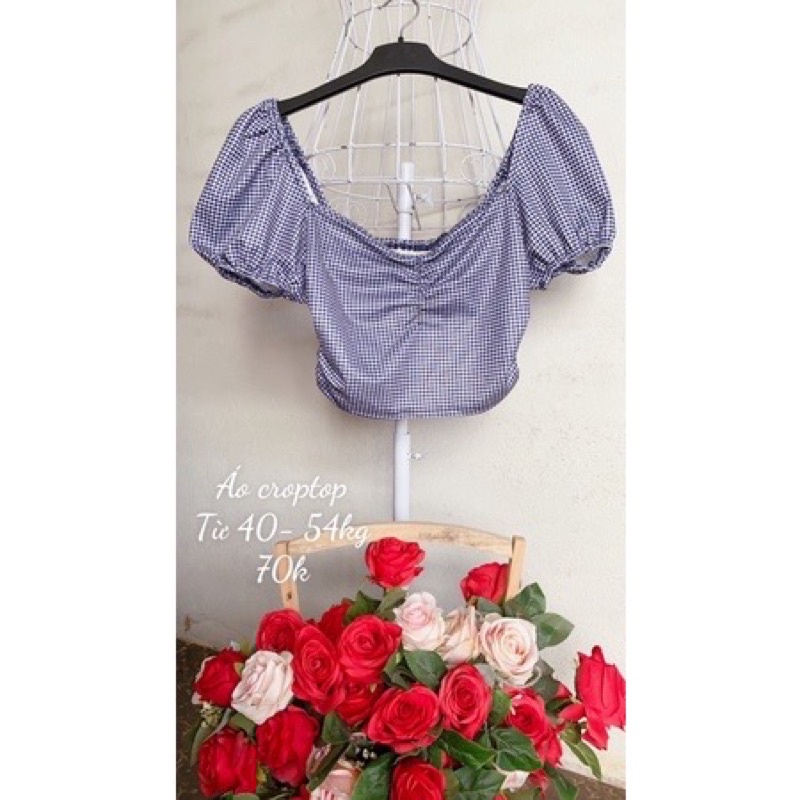Áo vin dáng croptop
