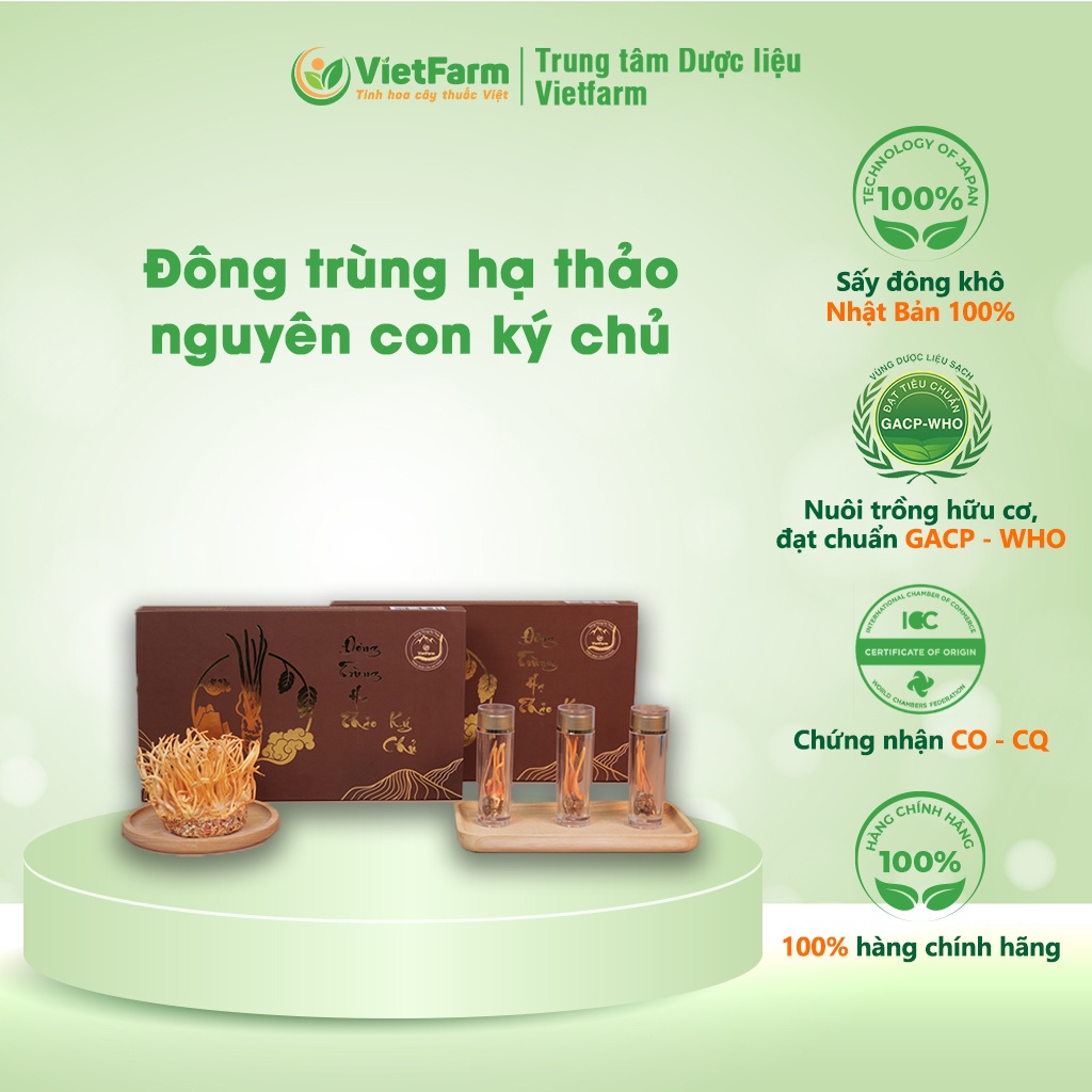 Đông Trùng Hạ Thảo Nguyên Con Vietfarm Chính Hãng Hộp 6 Lọ - 30 Con Sang Trọng Đẳng Cấp
