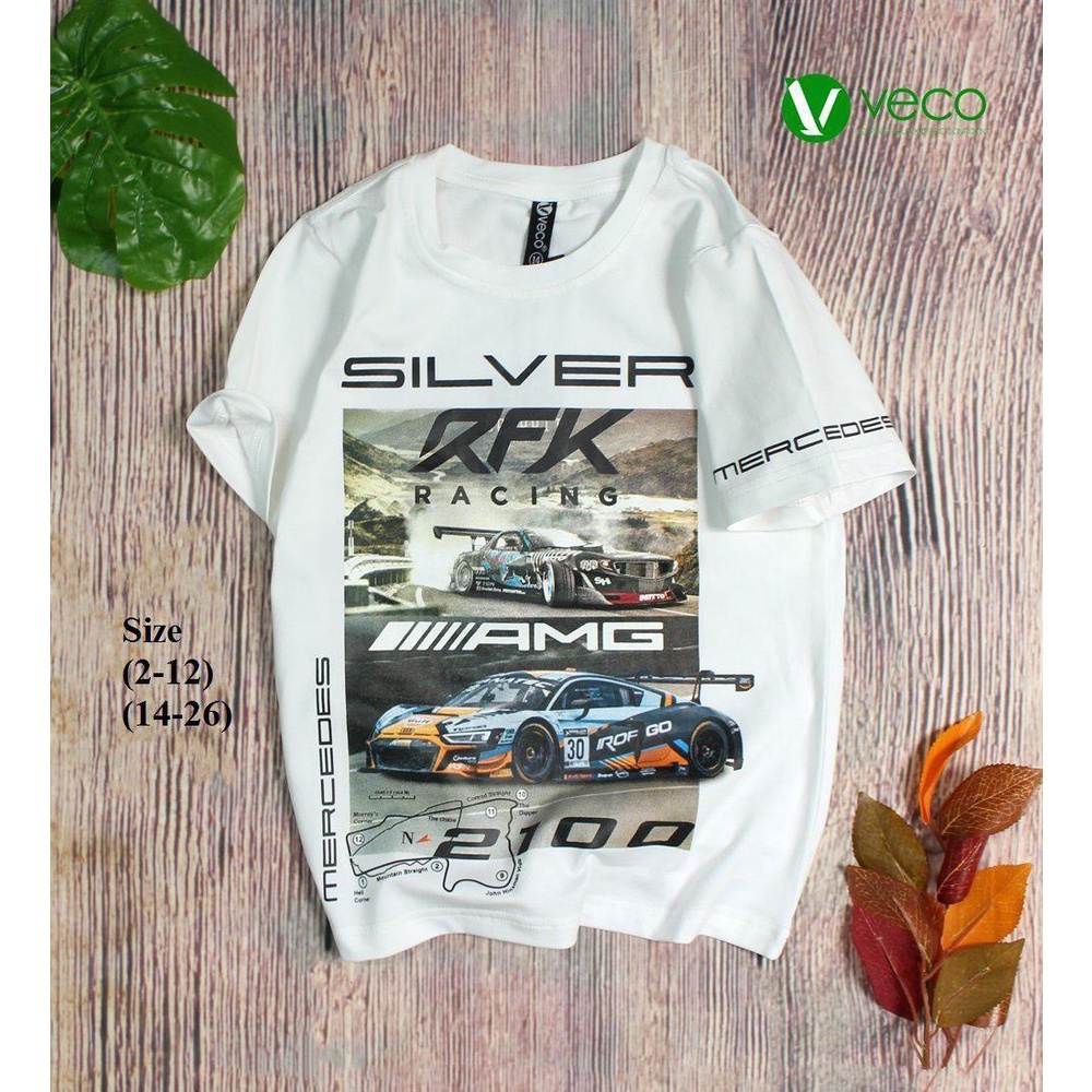 Áo thun bé trai veco size trung cho bé trai đi chơi, đi học size từ 12 tới 24Kg Shushibaby