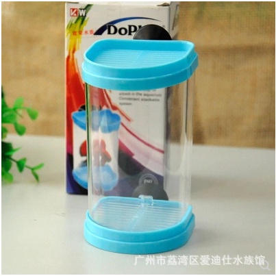 Hộp nuôi cá betta mini tiện dụng