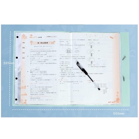 Bìa nhựa , File lá Clear Book A3 4 màu Molandi 30 lá