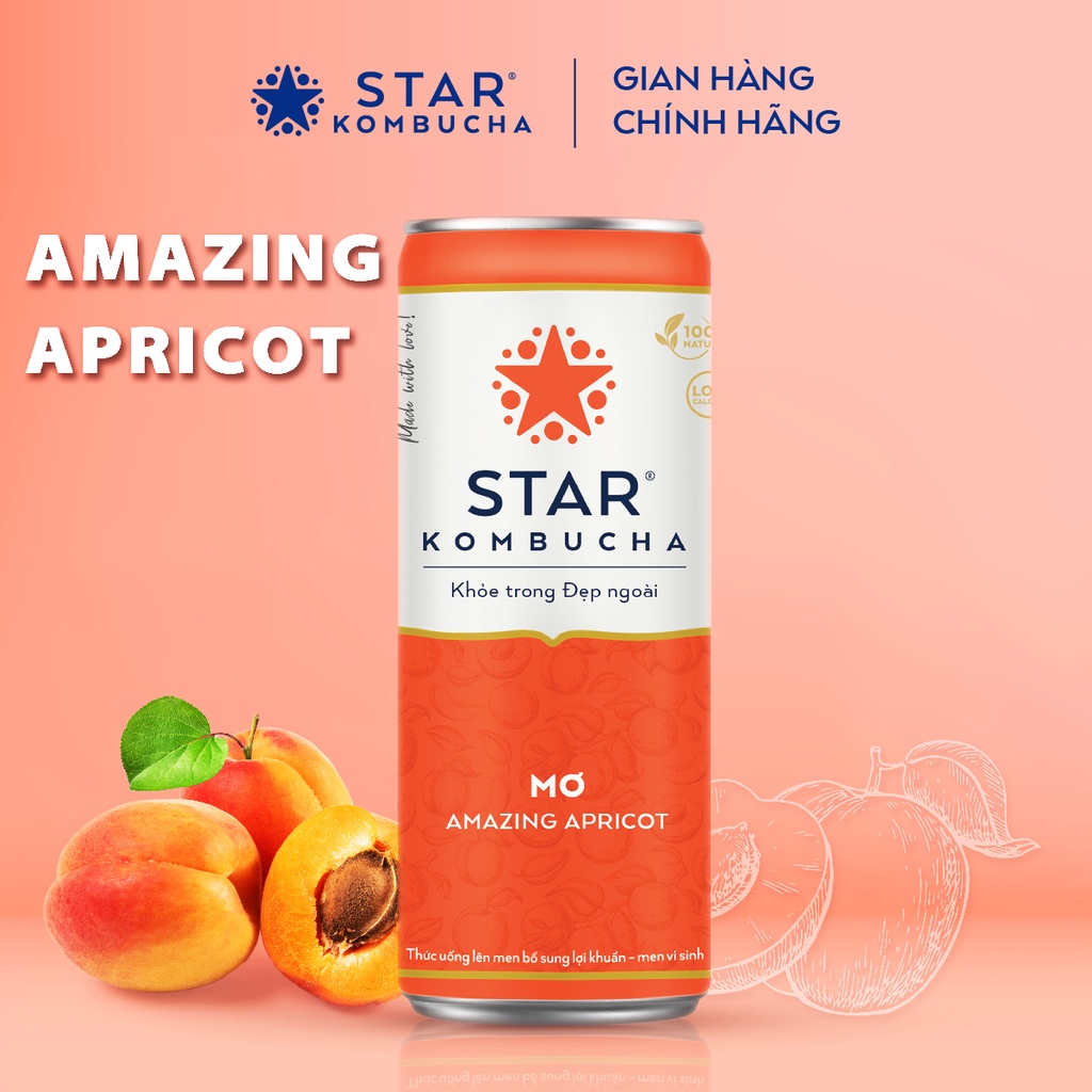 Thùng 12 lon trà STAR KOMBUCHA Mơ / Amazing Apricot (250ml/lon) - Trà kombucha lên men vi sinh chứa probiotics