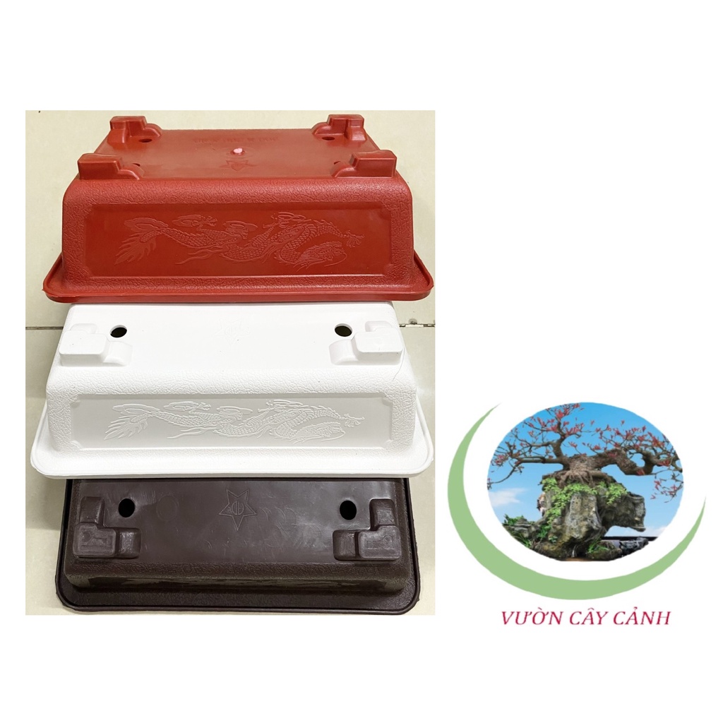 Chậu Chữ nhật Bonsai 30x20x8cm - #815#
