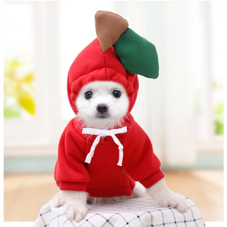 Áo Nỉ Có Mũ Trùm Hình Củ Cải Màu Trắng Phong Cách Giáng Sinh Mới Dành Cho Chó Mèo