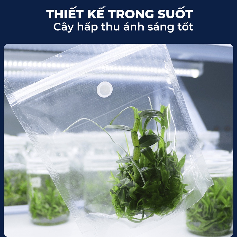 Túi zip nhựa có lỗ lọc khí cho nuôi cấy mô
