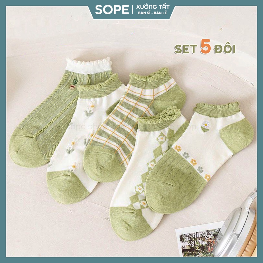 Tất vớ cổ ngắn, cổ bèo chất liệu cotton co giãn 4 chiều, set 5 đôi dễ phối đồ - Cherry Shop