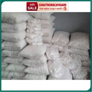 Sỏi đá trắng trang trí cây cảnh, sân vườn, hồ cá, cây kiểng kích thước 2-3cm giá rẻ nhất Bắc Ninh (bán theo 1kg/1 túi)