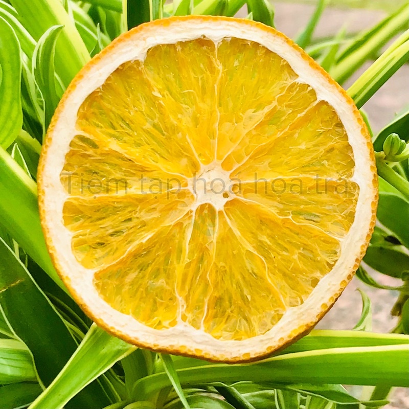 Cam Vàng thái lát sấy khô