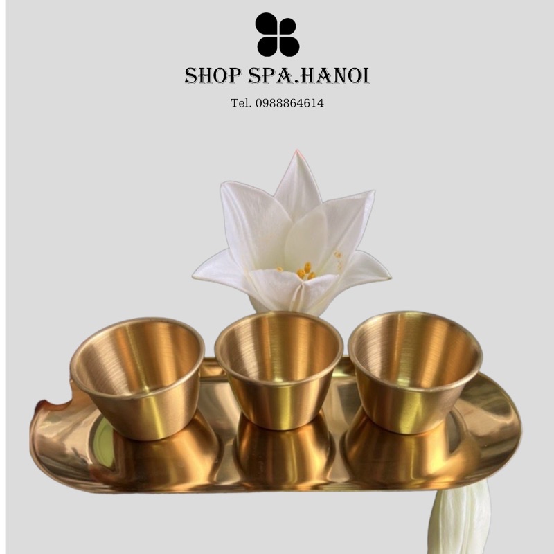 Dụng Cụ Spa Inox Mạ Vàng: Bát Spa Inox, Khay Inox Mạ Vàng sang chảnh