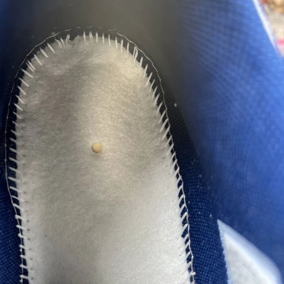 Giày Thể Thao Chạy Bộ Thấm Hút Tốt Thoải Mái Chất Lượng Cao