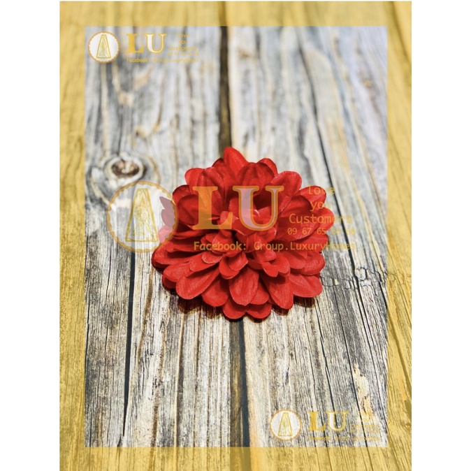 Đầu hoa Thược dược nhỡ | LU