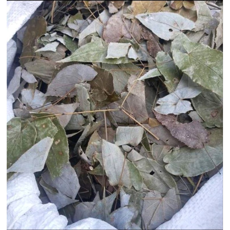 Lá dâm dương hoắc túi 500g