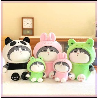 Gấu bông mèo hoàng thượng cosplay, gấu bông mèo hoàng thượng, mèo mặt quạo mặt áo