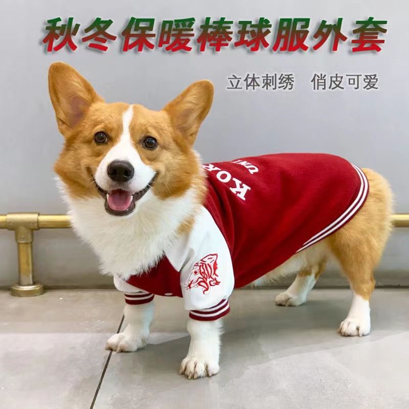 Áo Khoác Bóng Chày Giữ Ấm Mùa Thu Đông Kích Thước Vừa / Nhỏ / Vừa / Chó Corgi Phong Cách Đường Phố Schnauzer Shiba In