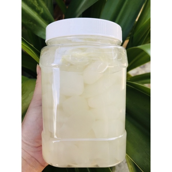 1kg hạt đác tươi loại Trung Lớn Dẻo ngon