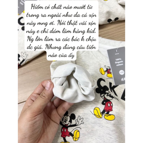 BỘ NỈ MICKY