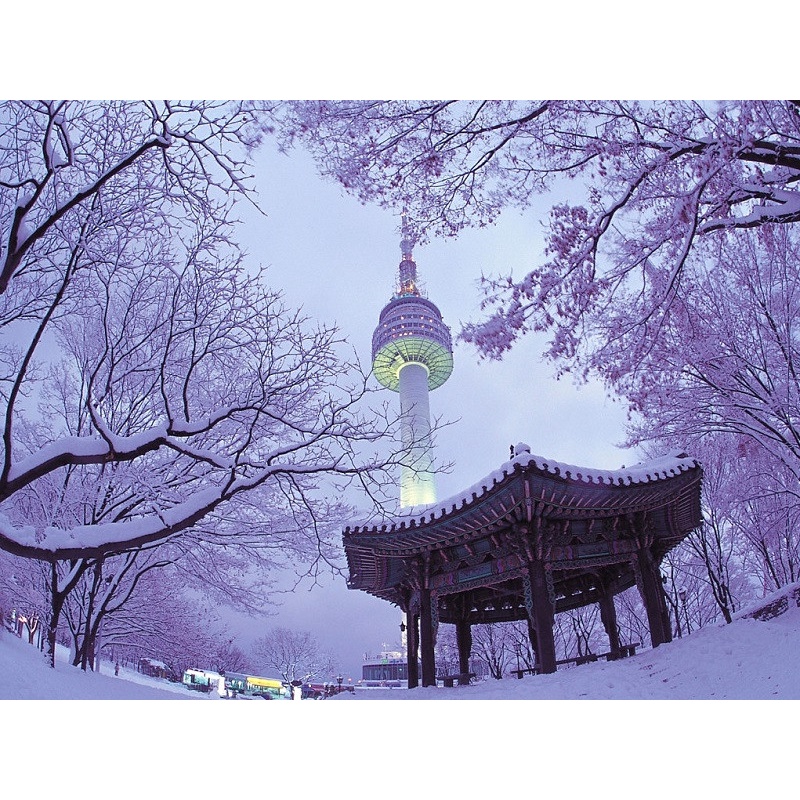 HÀN QUỐC: SEOUL | NAMI | TRƯỢT TUYẾT ELYSIAN LOTTE WORLD | HÁI DÂU (5N4Đ)